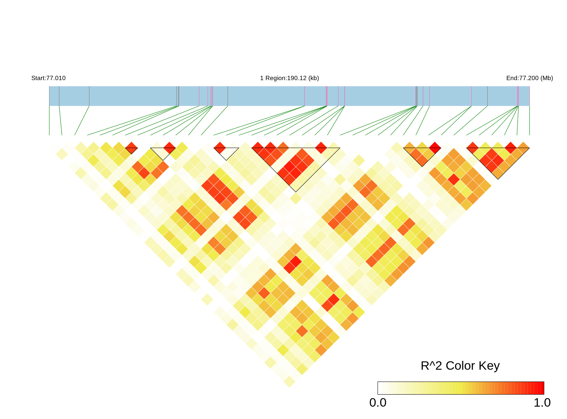 Haplotype Block